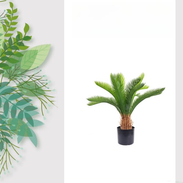 Potted Cycad Greenery