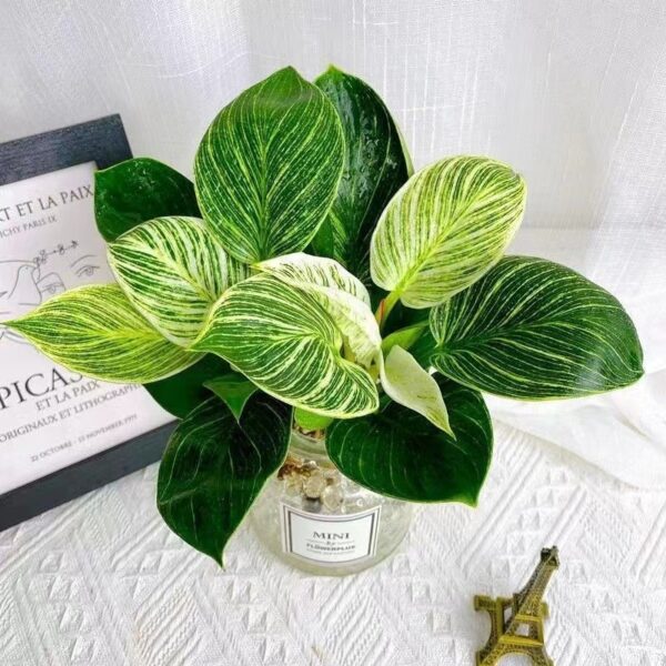 Platinum Diamond Aquatic Plant