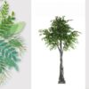 GreenGrove Ficus Tree