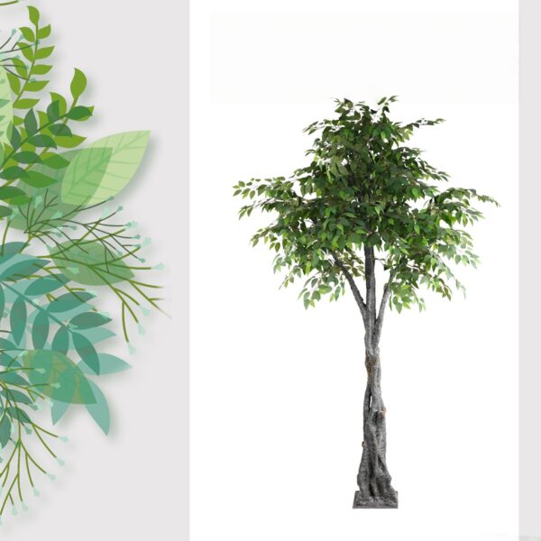 GreenGrove Ficus Tree