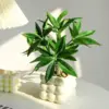 Money Tree