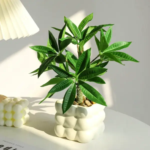 Money Tree