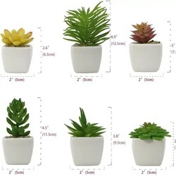 Mini Potted Succulent