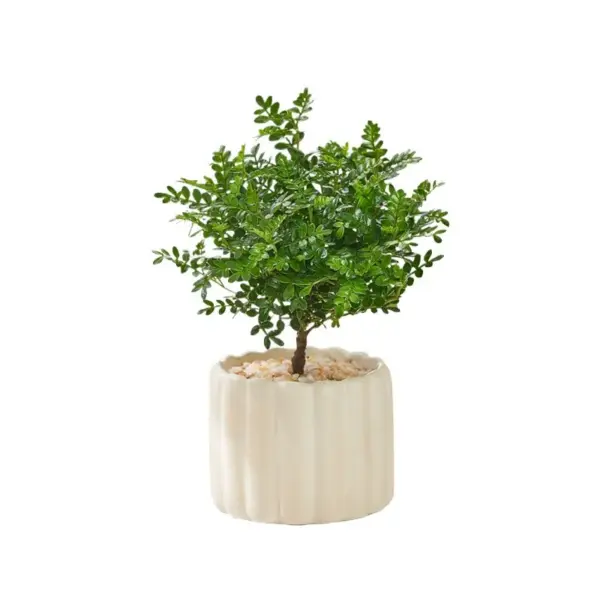 Pepperwood