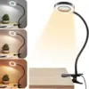 Clip Magnifying Lamp