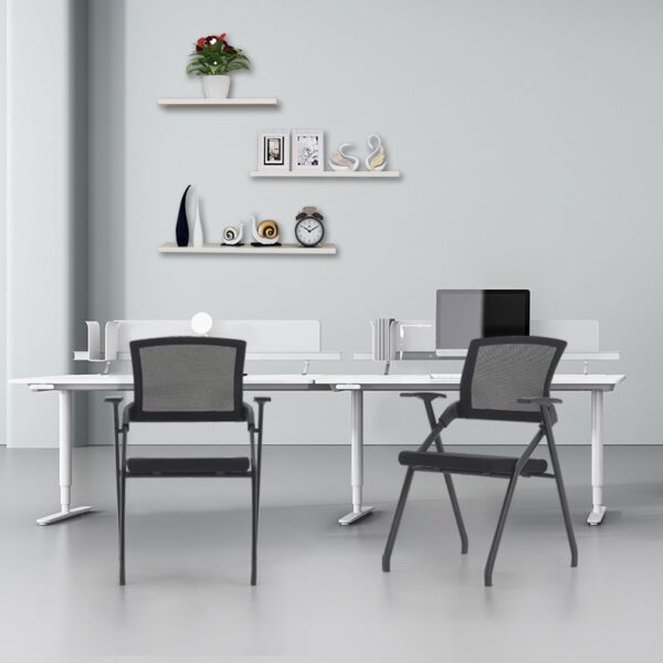 Ergo Office Chair