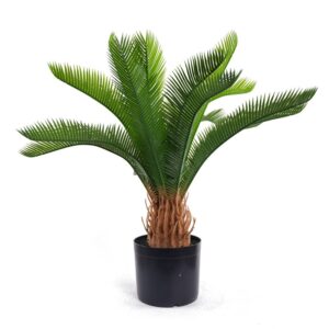Potted Cycad Greenery