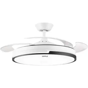 Concealed Fan Light