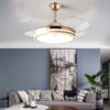 Concealed Fan Light