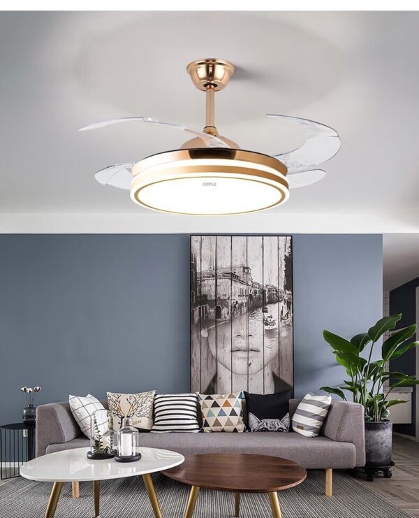 Concealed Fan Light