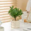 Pepperwood
