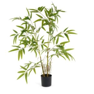 EverBamboo Potted Bamboo Plant