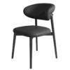 Modern Wood Chair