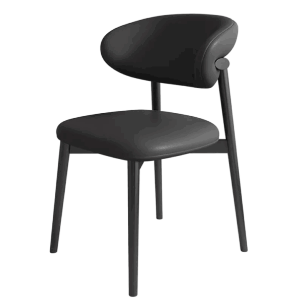 Modern Wood Chair